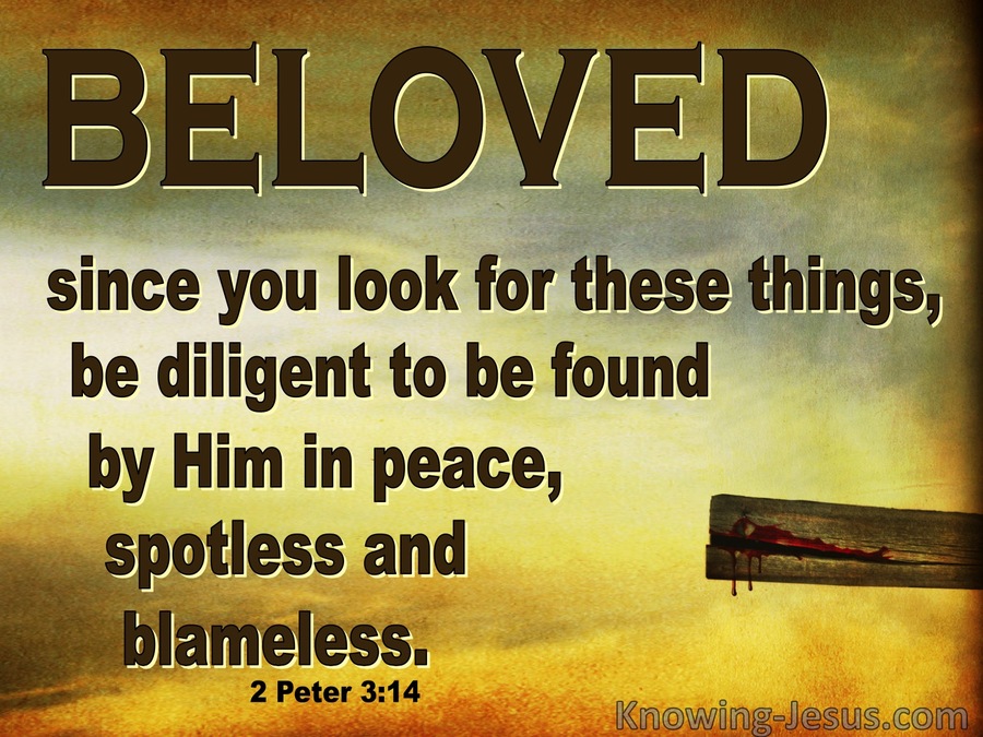 2 Peter 3:14 Be Diligent In Peace Spotless And Blameless (brown)